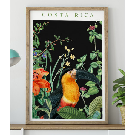 Poster / affiche Fleur de lys et toucan illustration botanique vintage