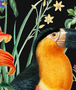 zoom affiche Fleur de lys et toucan