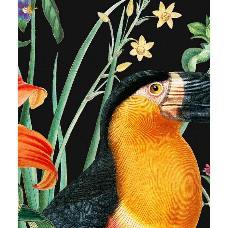zoom affiche Fleur de lys et toucan