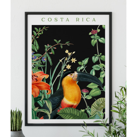 Poster / affiche Fleur de lys et toucan illustration botanique vintage