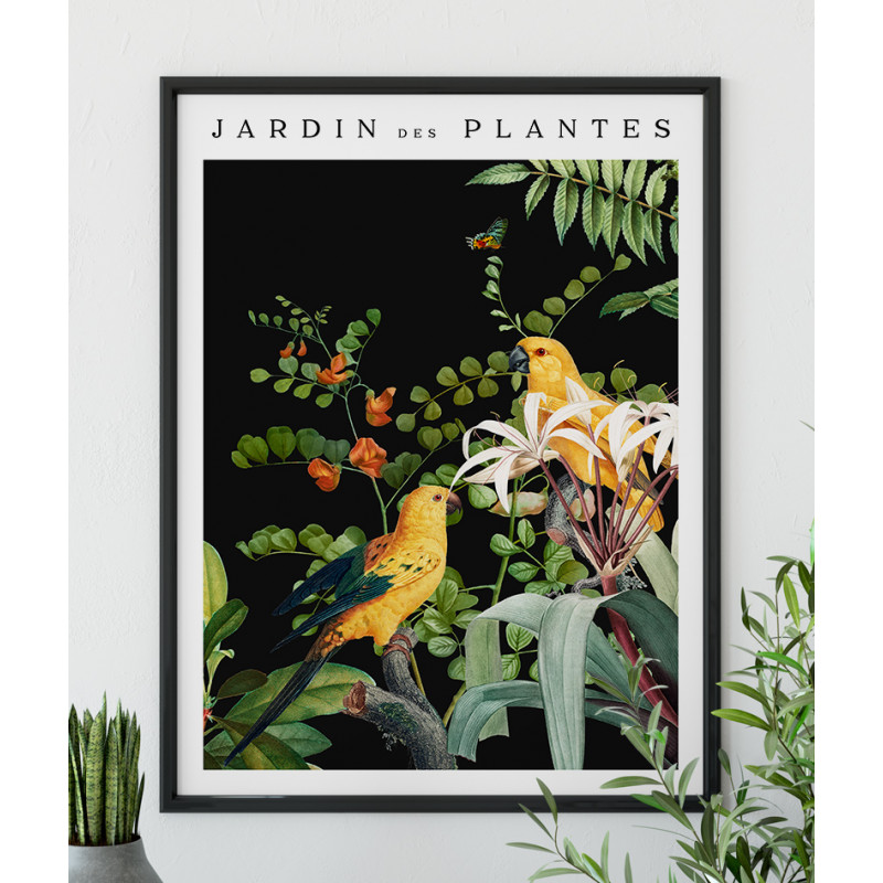 Poster / affiche Illustration Perroquets exotiques