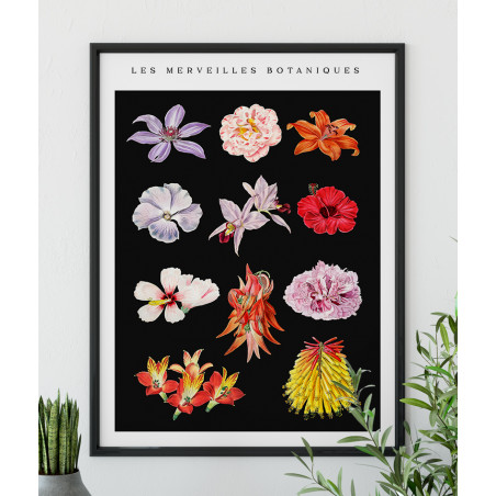 Poster / affiche Fleurs découpées collection botanique