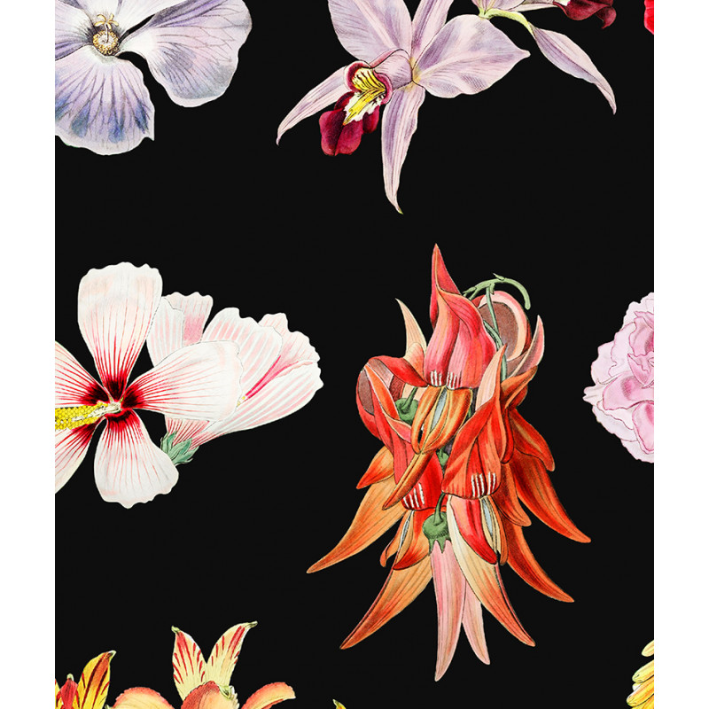 zoom Poster / affiche Fleurs découpées collection botanique