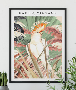 Poster / affiche Perruche blanche Campo Vintage