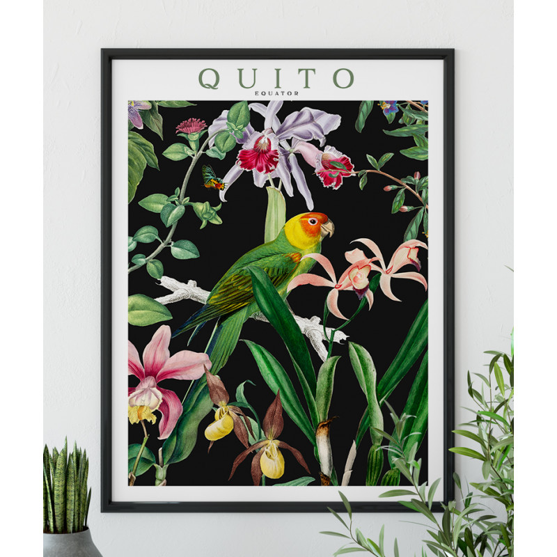 Poster / affiche Oiseau rosella oriental vintage