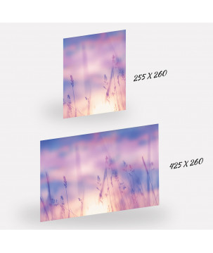 Papier peint panoramique 'Herbes hautes au couché du soleil' - Une ambiance romantique avec le Pantone 5275 C
