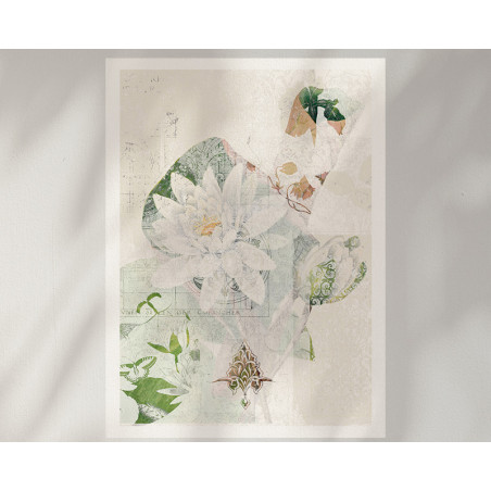 Affiche botanique vintage de fleur de nénuphar - Couleurs pastels et style épuré