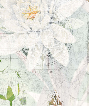 Affiche botanique vintage de fleur de nénuphar zoom
