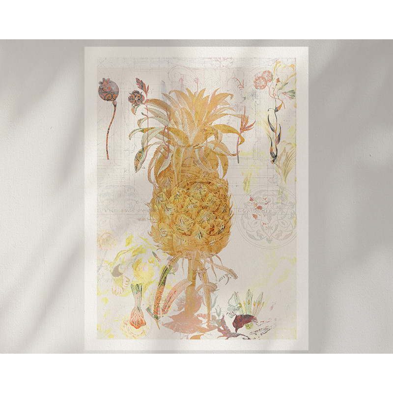 Affiche botanique vintage d'ananas sans cadre