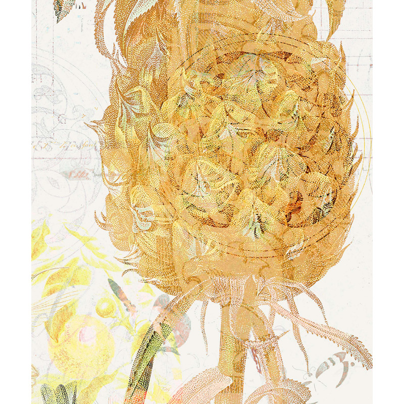 Affiche botanique vintage d'ananas zoom