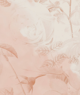 Papier peint feuillage dessin au trait vintage rose