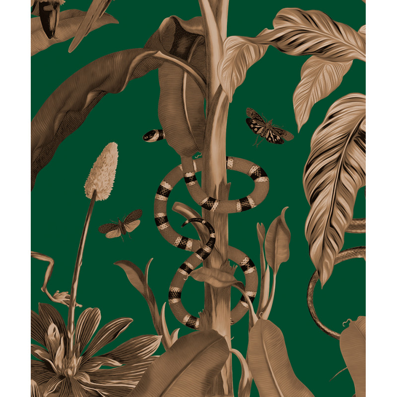 Papier peint luxuriante jungle vintage fond vert zoom
