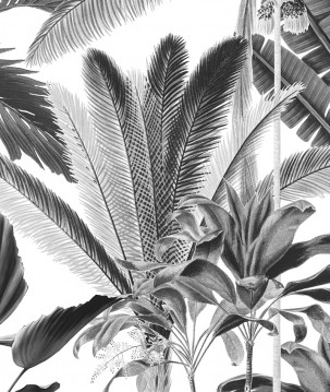 Papier peint jungle tropicale color noir et blanc