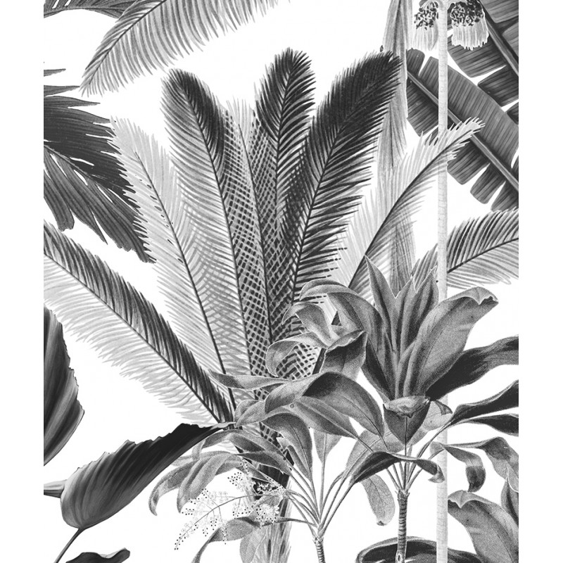 Papier peint jungle tropicale color noir et blanc zoom